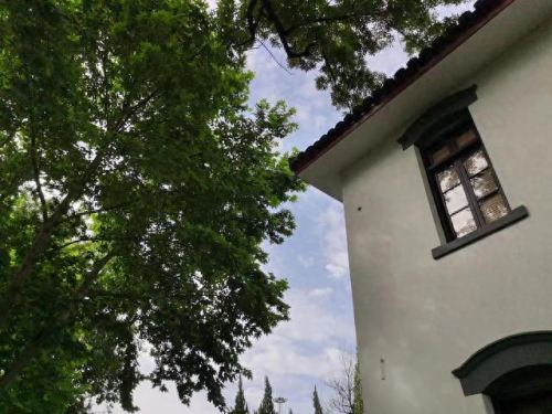 上虞区十大名牌中学排行榜(上虞最好高中排名)