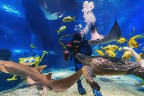 上海 垂钓 基地排名前十(上海垂钓排行榜)插图21