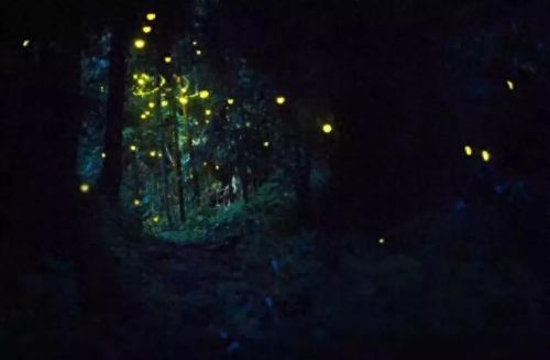 德阳别墅名宿排名前十(德阳最好的民宿排名)插图22 德阳别墅名宿排名前十(德阳最好的民宿排名)插图22