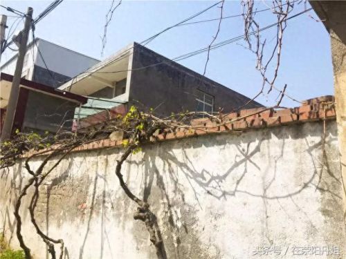 荥阳最美水库排名前十(荥阳水库图片)插图9 荥阳最美水库排名前十(荥阳水库图片)插图9