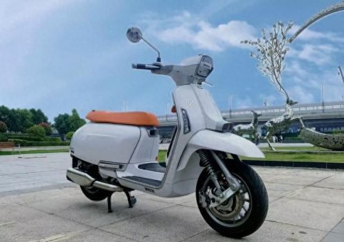 十大国产复古车品牌排行榜(国产复古太子前十名)插图1