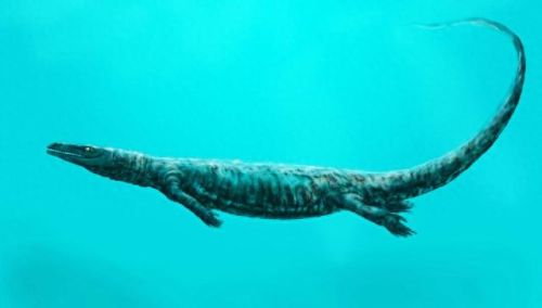 十大巨兽排行榜第6位(各大巨兽排行榜)插图4 十大巨兽排行榜第6位(各大巨兽排行榜)插图4