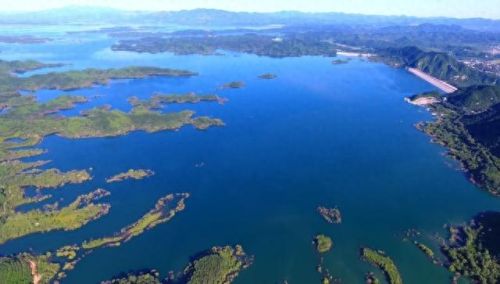 唐河最美水库排名前十(唐河附近最佳钓鱼水库)插图21 唐河最美水库排名前十(唐河附近最佳钓鱼水库)插图21