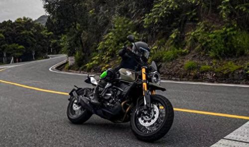 十大国产复古车品牌排行榜(国产复古太子前十名)插图7