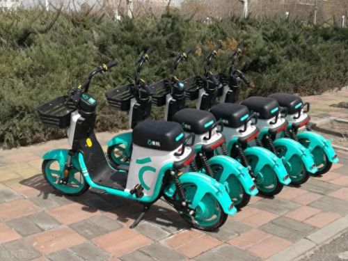 十大品牌电瓶车排行榜图片(电瓶车锂电池十大品牌排名)