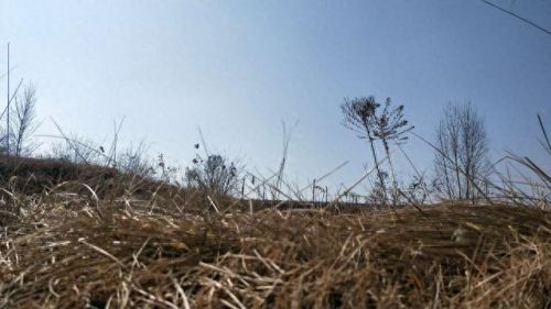 西安遛狗公司排名前十(西安遛狗事件最新消息)插图14 西安遛狗公司排名前十(西安遛狗事件最新消息)插图14