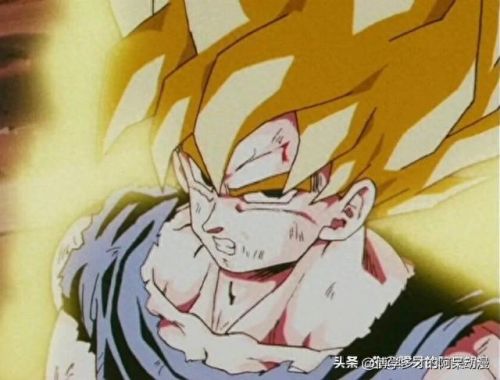 龙珠动漫高手排名前十(龙珠同人动漫壁纸)