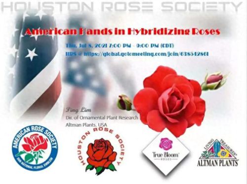 国外花盆公司排名前十(花盆品牌十大排名)插图