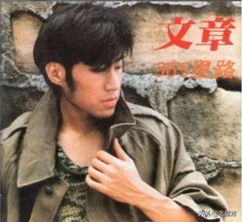 台湾排名前十的歌(台湾乐队排名前十)插图3