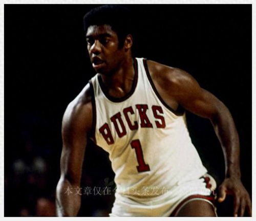 nba篮板十大排行榜图片(最强nba谁的篮板最好)插图3