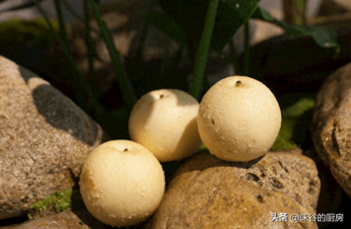 中国梨树产地排名前十(银梨树)