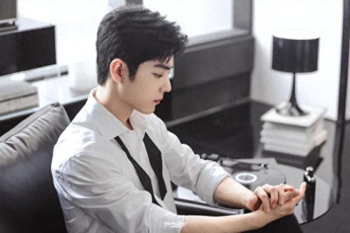 肖战专辑排名前十(肖战昨天热搜排名)插图7 肖战专辑排名前十(肖战昨天热搜排名)插图7