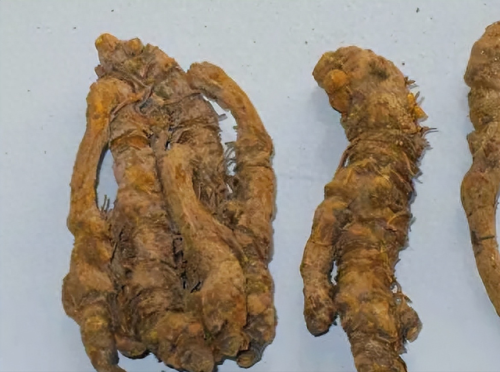 脑血栓药物排名前十(十大溶解血栓药)插图8 脑血栓药物排名前十(十大溶解血栓药)插图8