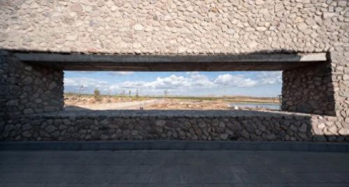 山西肉鸽销量排名前十(大熊养殖肉鸽)插图6 山西肉鸽销量排名前十(大熊养殖肉鸽)插图6