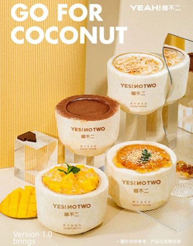 山西椰子厂商排名前十(椰子450)插图1 山西椰子厂商排名前十(椰子450)插图1