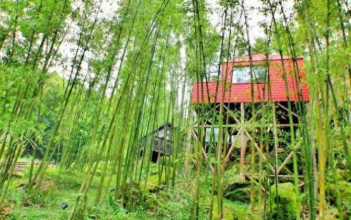 新疆塔城酒店排名前十(全国连锁酒店排名)插图38