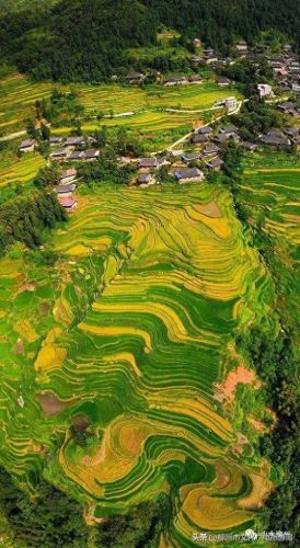 柳州十大摄影师排行榜图片(柳州全家福摄影前十名)插图8