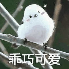 沈阳氛围小店排名前十(沈阳好吃的小店推荐)