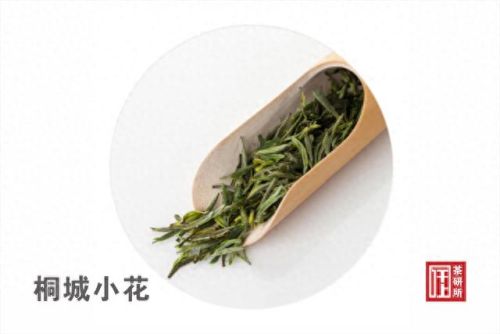 安徽特色茶叶排名前十(安徽猴坑茶叶)插图1 安徽特色茶叶排名前十(安徽猴坑茶叶)插图1