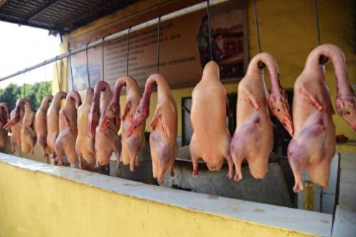 云南菜十大美食排行榜最新(云南的特色菜排名)插图3