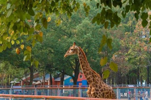 湖北十大旅游景点排行榜最新(湖北旅游景点有哪些)插图27