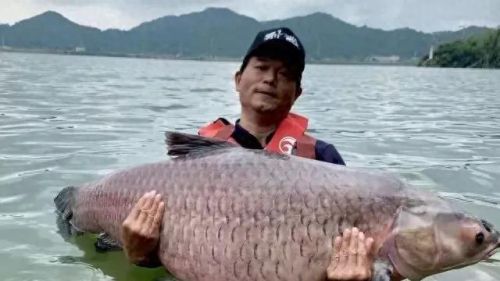 钓鱼排行榜十大狠人鱼王(湛江十大钓鱼圣地)插图