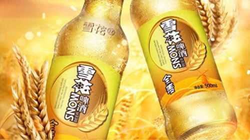 国产麦克风十大品牌排行榜(麦克风品牌十大排名)插图1