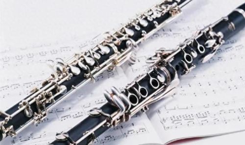 大提琴十大排行榜(世界排名前十大提琴)插图14 大提琴十大排行榜(世界排名前十大提琴)插图14