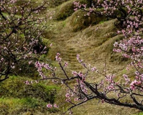 宁波游玩景区排名前十(宁波笔架山风景区)插图53 宁波游玩景区排名前十(宁波笔架山风景区)插图53