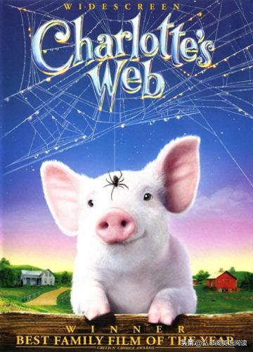 十大感人动画片排行榜美国(怀旧老动画片100部美国)