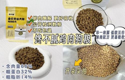 十大最建议养的狗排行榜(女儿13岁初中适合养狗吗)插图6