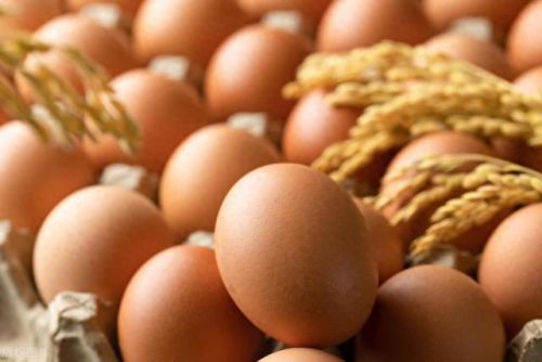 十大蛋白质食物排行榜图片(增加蛋白质提高免疫力吃哪些食物)插图4