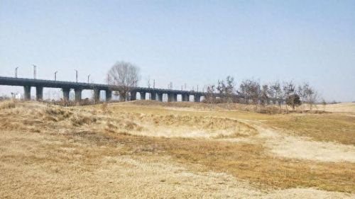 西安遛狗公司排名前十(西安遛狗事件最新消息)