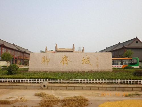 日照市十大企业富豪排行榜(日照十大富豪排名)插图11