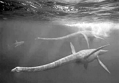 传说中的十大怪兽排行榜(怪兽电影十大巅峰之作)插图1 传说中的十大怪兽排行榜(怪兽电影十大巅峰之作)插图1