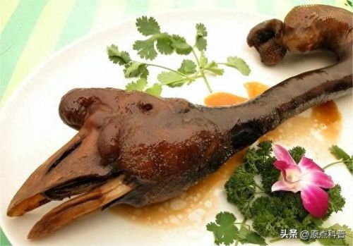 最贵的中餐食材排行榜十大(最贵的食材排行榜前十名)插图15 最贵的中餐食材排行榜十大(最贵的食材排行榜前十名)插图15