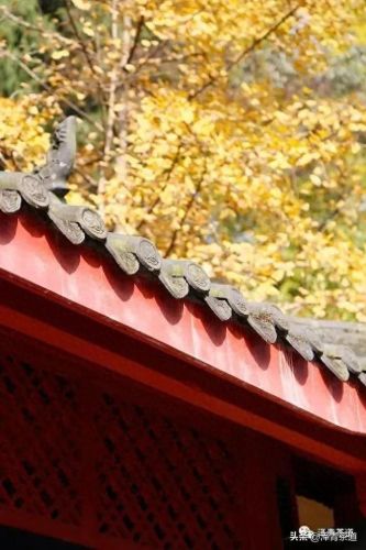 茶经排名前十的茶(十三种满分好茶)插图63 茶经排名前十的茶(十三种满分好茶)插图63