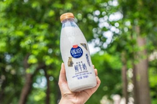 国奶前十大品牌排行榜图片(公认的十大牛奶品牌)插图3