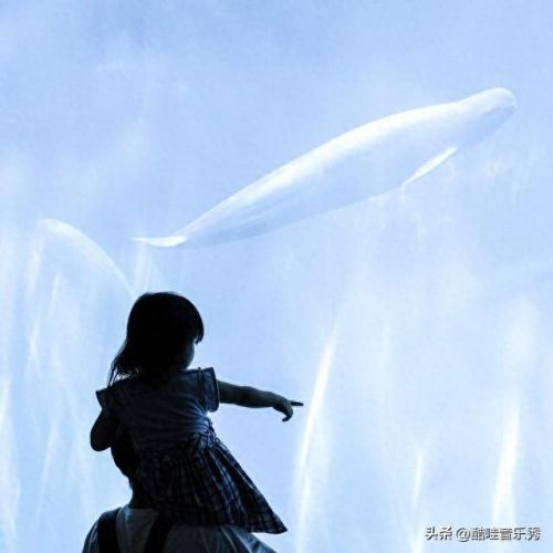 抖音歌曲十大排行榜(抖音歌曲排行榜大全)插图4 抖音歌曲十大排行榜(抖音歌曲排行榜大全)插图4