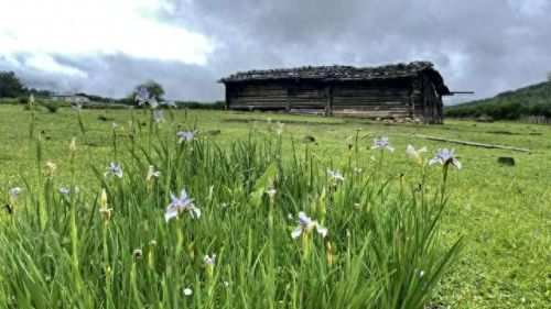 云南木雕酒店排名前十(云南婕珞芙酒店)插图32 云南木雕酒店排名前十(云南婕珞芙酒店)插图32