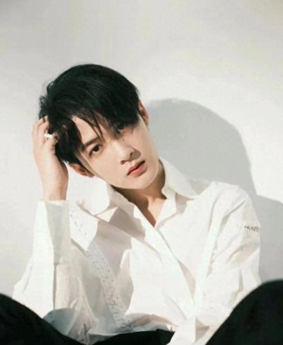 十大天秤男明星排行榜第一(月亮天秤明星)