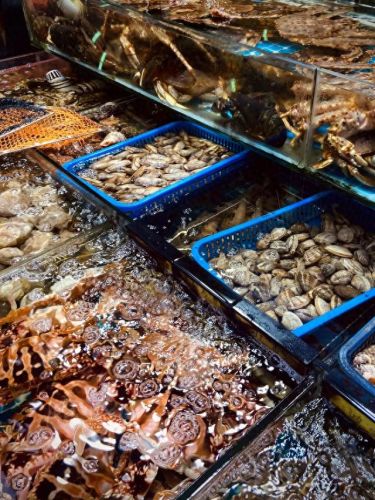 夜市炒海鲜排名前十(晋阳海鲜夜市)插图7 夜市炒海鲜排名前十(晋阳海鲜夜市)插图7