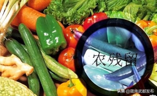 十大果蔬农药残留排行榜最新(果蔬的农药残留一般残留在哪里)插图1