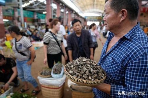 生菌的十大排行榜(天然益生菌十大排行榜)插图2 生菌的十大排行榜(天然益生菌十大排行榜)插图2