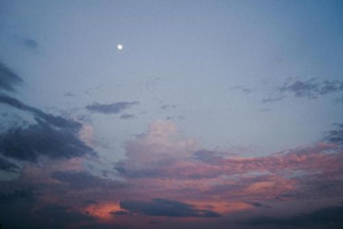 厨电十大名牌香水排行榜(十大室内香水排名)插图