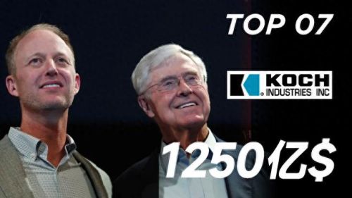 十大家族企业排行榜(中国九大企业排名)插图3