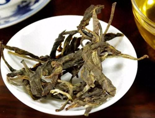 国内古老茶树排名前十(云南最古老的茶树在什么茶区)插图8 国内古老茶树排名前十(云南最古老的茶树在什么茶区)插图8