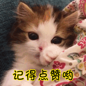 娱乐圈十大宠物排行榜最新(北京圈内人养宠物的明星)