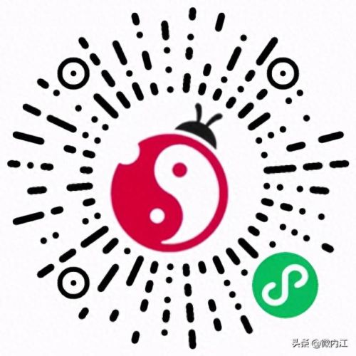 内江日化企业排名前十(内江十大企业排名)插图17