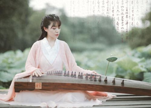 酒吧热门乐器排名前十(弦类乐器难度排名)插图3